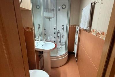 Apartament 3 camere, zona BIG - 10