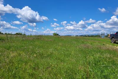 LA 20 DE MINUTE DE BUCURESTI LA TANCABESTI TEREN  LAC - 5