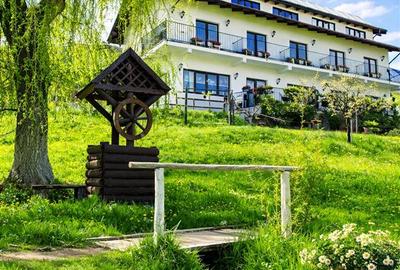 Pensiune cu priveliste fabuloasa, zona boema, Bran, Brasov. - 1