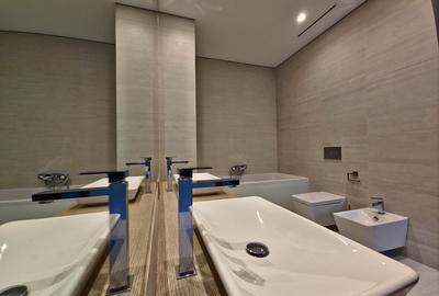 Apartament cu gradina Primaverii - 10