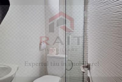 Casa Vacanta Rucar Saticu de Jos Arges - 25