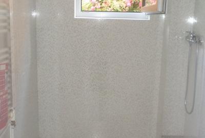 CASIN, AVERESCU, parter in VILA, LUX, nemobilat, utilat, curte mare, superb - 26
