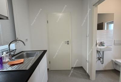 Spatiu Birou Office, Salon, Depozitare | Dumbravita-Parcul Terra - 11
