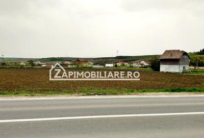 Teren 5800 mp,150m de Aeroport deschidere 58m la E60,20 euro - 2