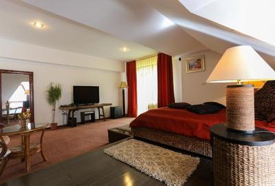 Hotel Mistral Moieciu - 13