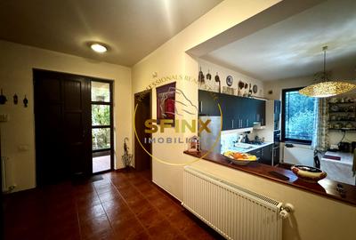 Casa 6 Camere, gradina spectaculoasa, Erou Iancu Nicolae - 18