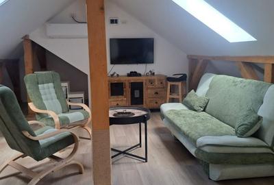 Casa individuala Utvin, 4 camere, Parter + Mansarda - 15