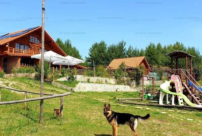 RATE Pensiune 12 cam Superba*** malul Lac Mocearu piscina ,16277mp - 40