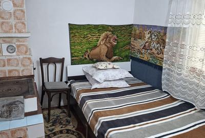 VANZARE CASA VRANCEA TIFESTI SAT CLIPICESTI - 6