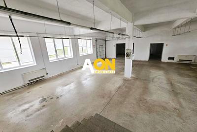 Spatiu industrial pentru productie sau depozitare, 1600 mp, Sebes - 5