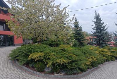 Casă de vânzare Reghin zona semicentrală. - 3