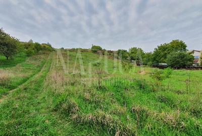 Teren intravilan constructii de vanzare in Dealuri Oradea, Oradea - 1