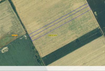 GRADISTEA - Sat Sitaru, Tarla 41, 22.235 mp. teren agricol, ideal investitie - 4