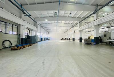 Hale Calea Chisinaului Iasi, aproape de Carrefour de la 65mp la 2000mp - 14