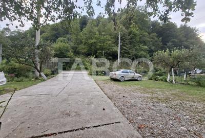 Spatiu de vanzare in Valea Macesului judel Valcea iesire la Lotru - 38