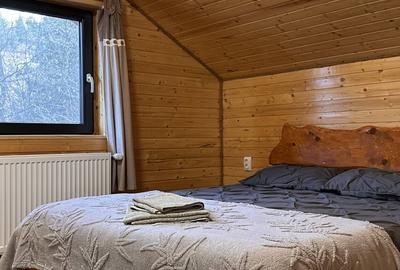 Cabană – afacere la cheie | 4 dormitoare | Piscină încălzită | Valea Ierii - 11