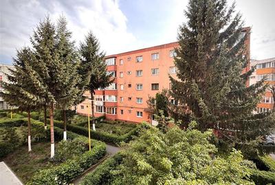 Apartament de vanzare Centru Civic 2 camere - 13