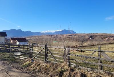 De vanzare un teren in suprafata de 4200 mp in Tohanul Nou.