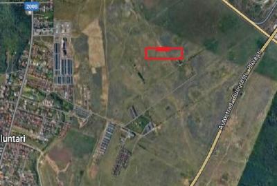 Voluntari   Matei Millo  Pipera  Vanzare  teren  intravilan - 15
