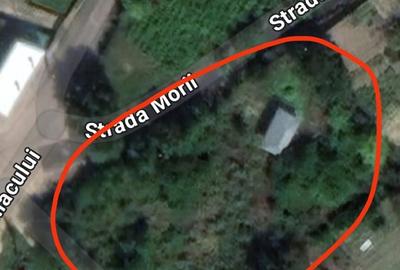 Vand teren cu casa in Luncavita - 1