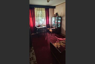 Apartament 2 camere parter Vest Lamaita - 1