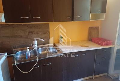Casa individuala in Cruceni ,la granita cu Serbia - 2