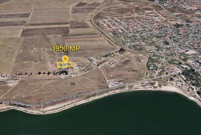 INVESTIȚIE PREMIUM | 3.950 MP INTRAVILAN | VEDERE LAC TECHIRGHIOL - 4