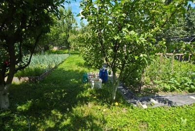Casa in Viisoara cu curte si gradina in Viisoara - 8