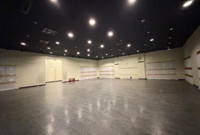 Zona 1 Decembrie - Complex sp 252 mp open space vitrina 10 ml - 1