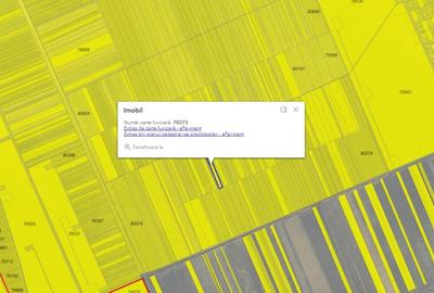 Teren agricol extravilan de 20890 mp, în Salcia Tudor - 4