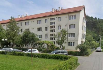 Vand apartament 2 camere zona Lidl, etaj 1 pe Vest + loc parcare - 1