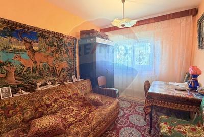 Apartament cu 3 camere de vânzare în zona Radu Negru I Braila - 4