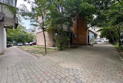 Spatiu comercial Nicolina Clopotari, zona Profi, 160mp - 8