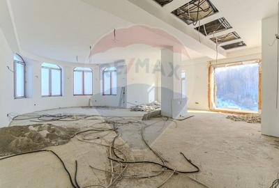 Activ Hotelier SubEvaluat | 18.000 mp construiti | 3 ha teren | BRASOV - 54