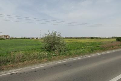 Teren intravilan pentru hale industriale / logistică – Varianta Constanța - 2