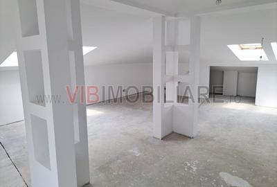 Baneasa - Sisesti, vila S+P+1E+M, 9 camere, suprafata utila 516 mp - 10