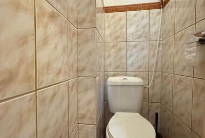 3 CAMERE | VILĂ INTERBELICĂ | CENTRALĂ PROPRIE | CALEA CĂLĂRAȘI - 14