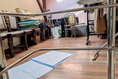 P+E+M,cartier rezidential elegant,liniste,paza,bariera,nepoluat,vecini deosebiti - 12