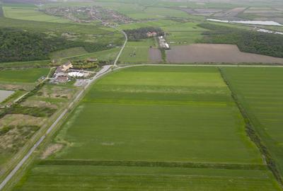 Teren extravilan de 22500mp Zona Ineu - 3