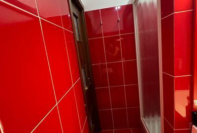 Apartament cu 2 camere, 40 mp, balcon, zona Eroilor - 11