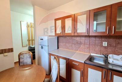 Liniste si lumina! Inchiriez apartament cu 1 camera, Parcare, Someseni - 10