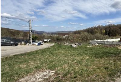 Teren ideal pentru casă individuală! PUZ aprobat –  Făget - 4