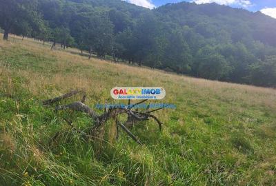 Teren intravilan Predelut str Magurii - 1