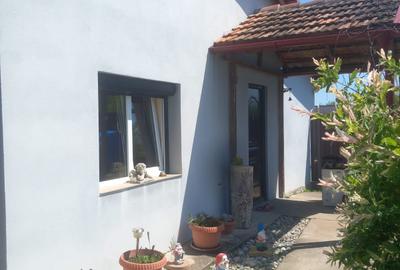 Casă parter + teren 1.000 mp, la 150 m de Dunăre – Tismana, jud. Mehedinți - 8