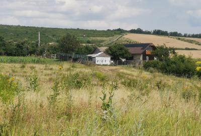 BUCIUM , 6 KM DIN IASI , DESCHIDERE DUBLA  , P+2,lac natural aproape - 9