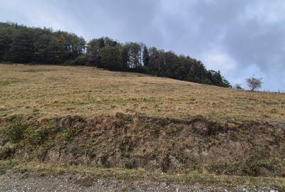 Teren deosebit in cadru de poveste langa cabana Diham, Glajerie - 3