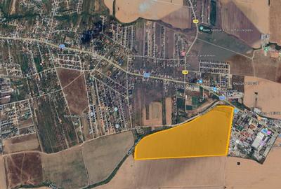 Teren intravilan 27 ha – Păulești | Pretabil Dezvoltare Rezidentiala - 4