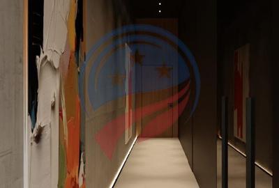 Vila de lux/ ultracentral/ Craiova - 27
