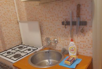 DOROBANTI ,IANCU DE HUNEDOARA GARSONIERA  PET FRIENDLY INCHIRIERE - 15