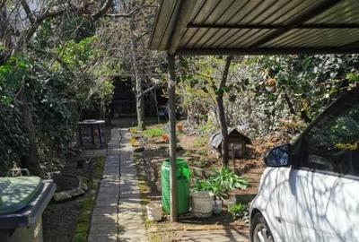 Apartament cu teren privat in proprietate. stefan cel mare - 1